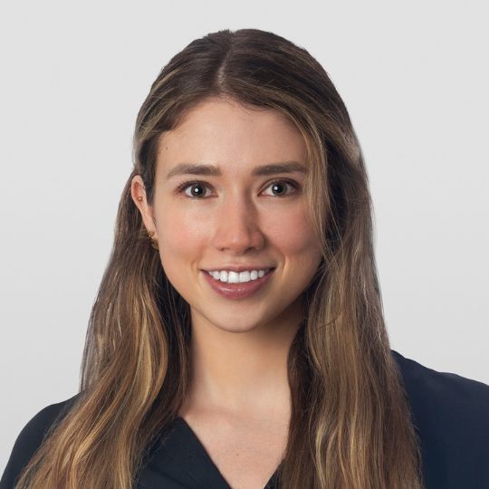 Andrea Iturbide

Associate, Clark Hill

Mexico City, Mexico